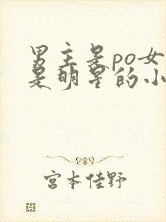 男主是po女主是明星的小说