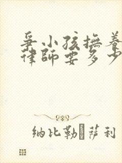 争小孩抚养权请律师要多少钱