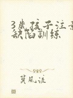 3岁孩子注意力缺陷训练