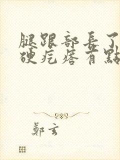 腿跟部长了一个硬疙瘩有点疼是怎么回事封面