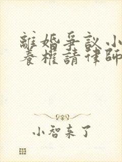 离婚争议小孩抚养权请律师要多少钱