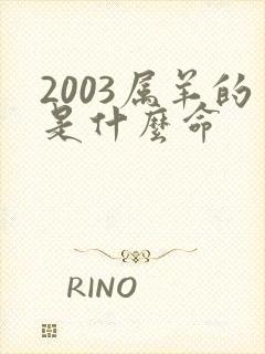 2003属羊的是什么命