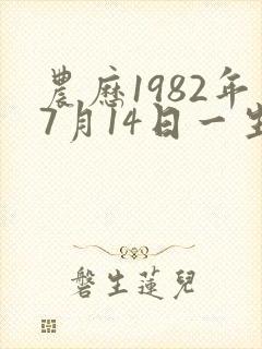 农历1982年7月14日一生命运