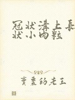 冠状沟上长菜花状小肉粒