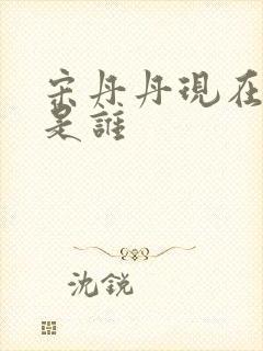 宋丹丹现在丈夫是谁