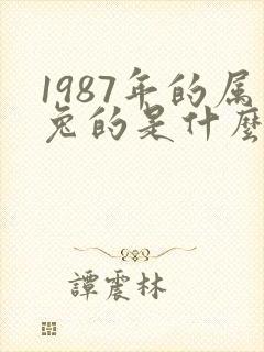 1987年的属兔的是什么命运