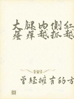 大腿内侧红疙瘩瘙痒越抓越多