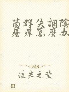 菌群失调阴道口瘙痒怎么办