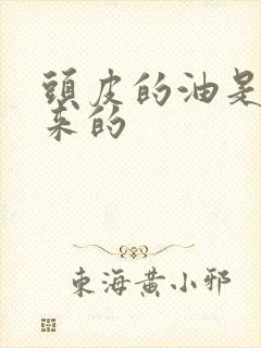 头皮的油是从哪来的