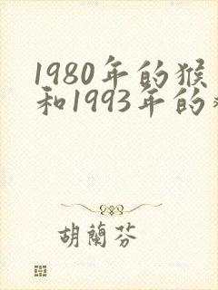 1980年的猴和1993年的鸡配吗