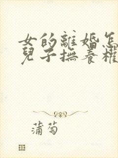 女的离婚怎样要儿子抚养权