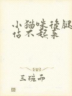 小猫咪后腿无力站不起来封面