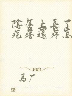 阴唇上长了一个疙瘩还疼怎么回事封面