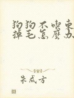 狗狗不吃东西还掉毛怎么办