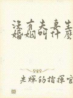 没有夫妻生活的婚姻叫什么