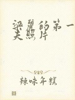 梁丽的第一任丈夫照片封面