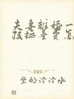 夫妻离婚一个小孩抚养费怎么算封面