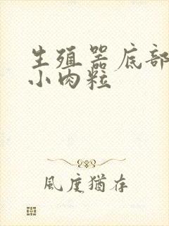 生殖器底部长了小肉粒封面