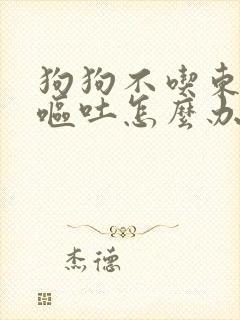 狗狗不吃东西还呕吐怎么办