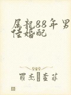 属龙88年男最佳婚配
