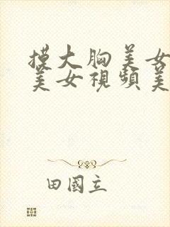 摸大胸美女视频美女视频美女