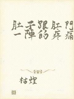 肚子跟肛门一阵一阵的疼痛封面