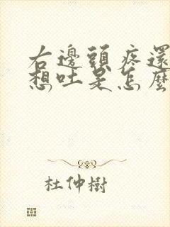 右边头疼还恶心想吐是怎么回事女性