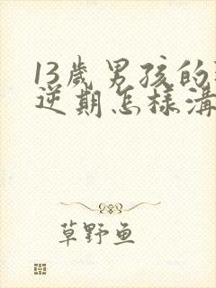 13岁男孩的叛逆期怎样沟通