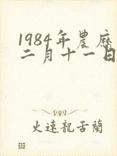 1984年农历二月十一日出生的命运