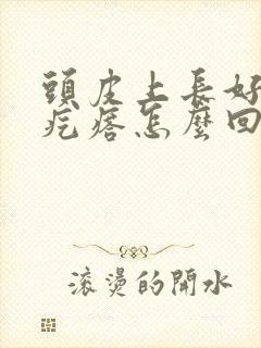 头皮上长好多小疙瘩怎么回事