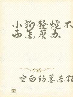 小狗发烧不吃东西怎么办