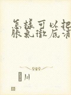 怎样可以把肚子胀气彻底消除