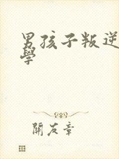 男孩子叛逆期厌学