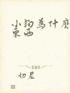 小狗为什么不吃东西