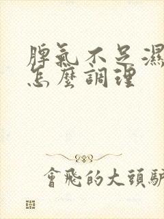 脾气不足湿气重怎么调理