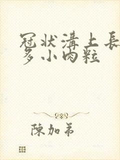 冠状沟上长了很多小肉粒封面