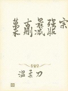 万古最强宗小说未删减版