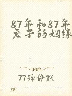 87年和87年兔子的姻缘与财运
