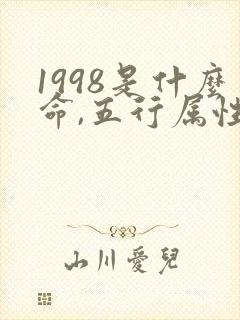 1998是什么命,五行属性
