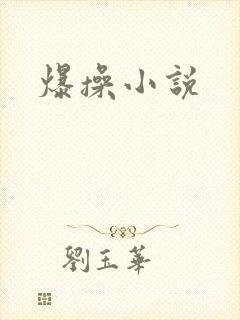 爆操小说