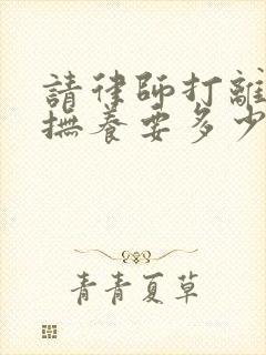 请律师打离婚争抚养要多少钱