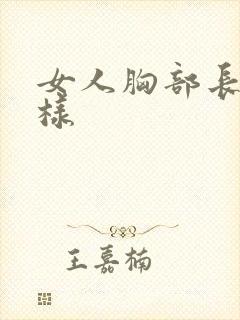 女人胸部长什么样