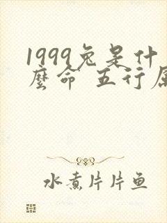 1999兔是什么命 五行属什么封面