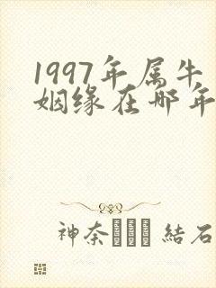 1997年属牛姻缘在哪年结婚好封面