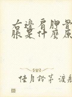 右边肩胛骨缝酸胀是什么原因