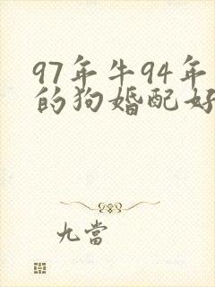 97年牛94年的狗婚配好不好