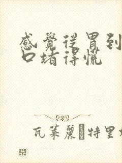 感觉从胃到嗓子口堵得慌封面