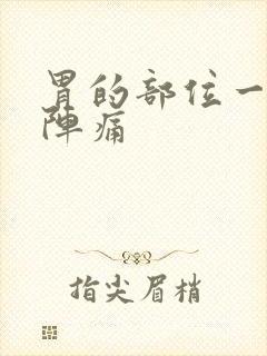 胃的部位一阵一阵痛封面