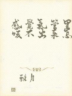 感觉气管里有痰咳不出来怎么办