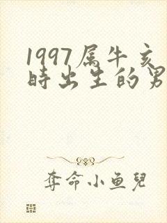 1997属牛亥时出生的男孩命运